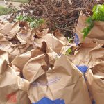 leaf-yard-cleaners-township-disposal-south-jersey-area